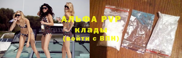 кокс Арсеньев